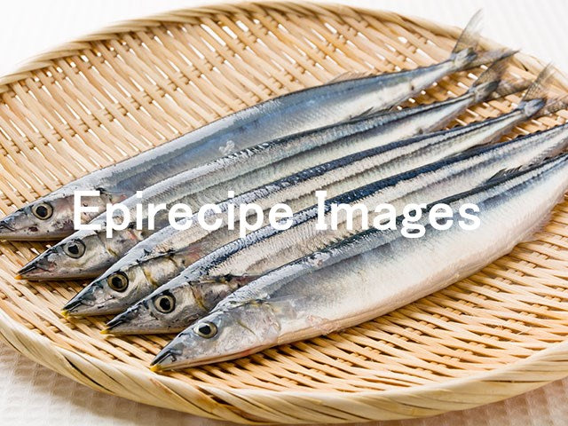 pacificsaury